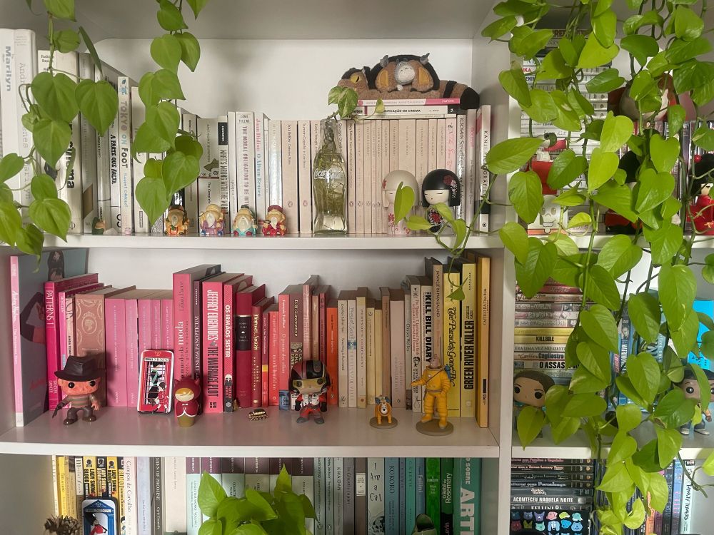 Estante grande, cheia de livros com bonecos e plantas