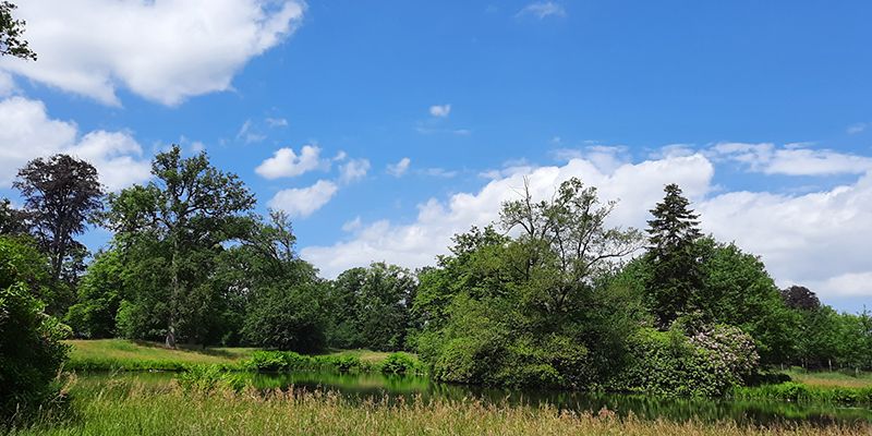 Boomgroepen, glooiende oevers met grassen, blauwe lucht met witte wolken