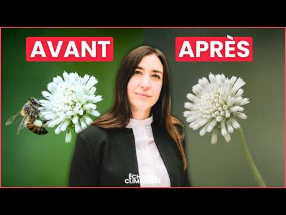 L’EFFONDREMENT DE LA BIODIVERSITÉ MET-IL L’HUMANITÉ EN DANGER ? Avec Tatiana Giraud