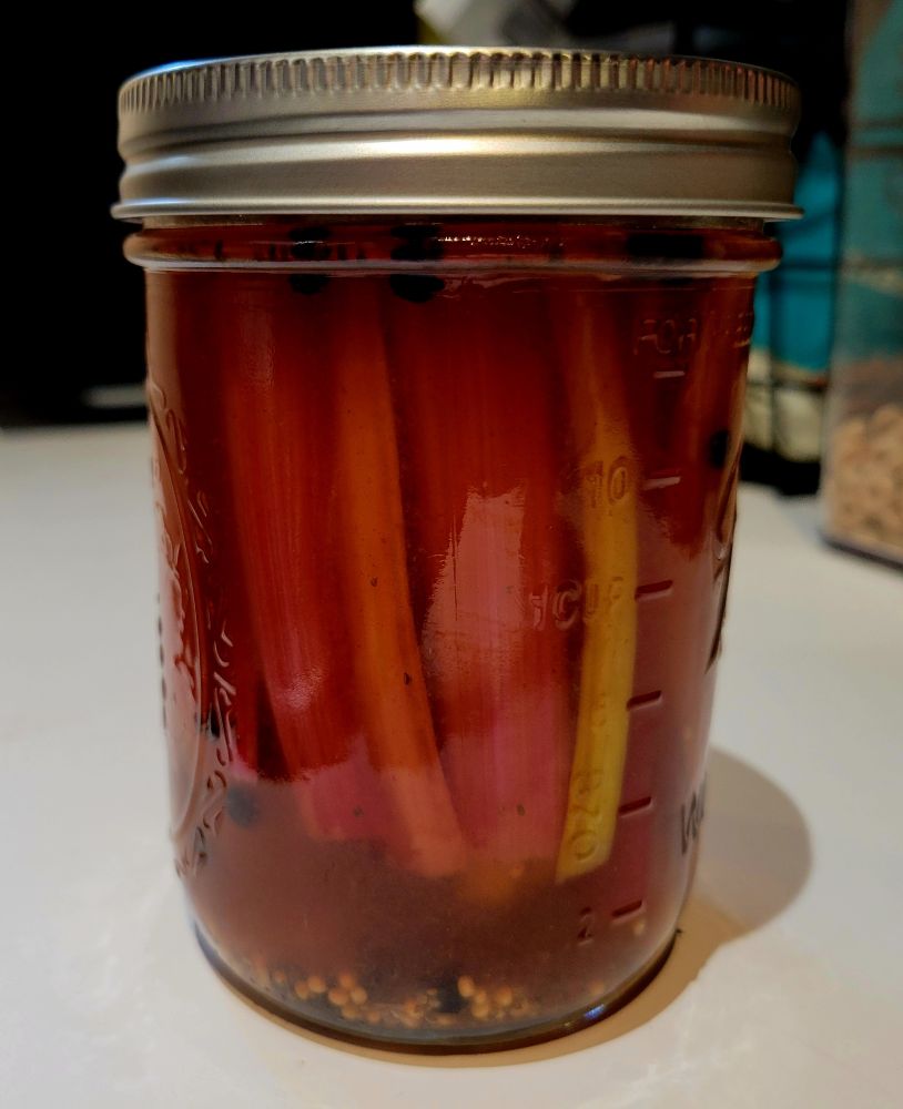 A jar of pickled rainbow chard stems.