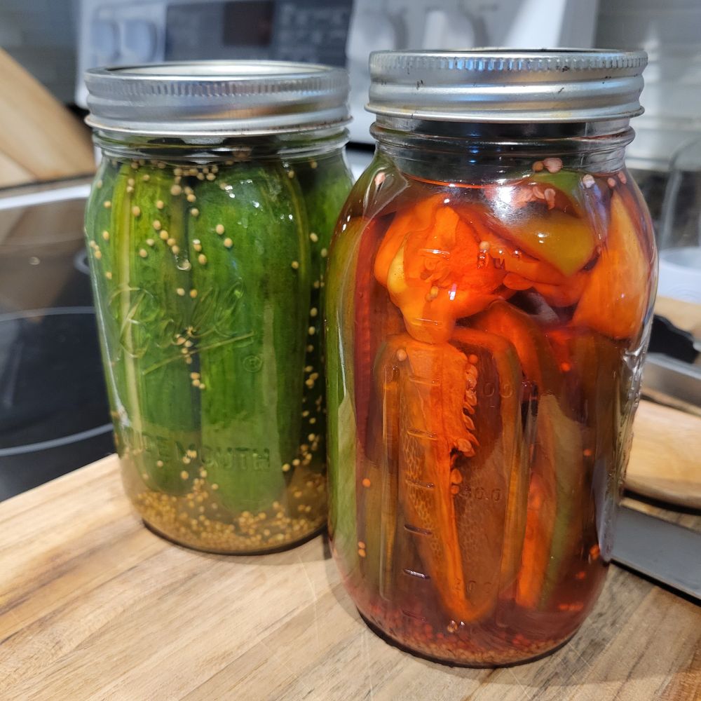 Some pickles in jars. One jar appears red