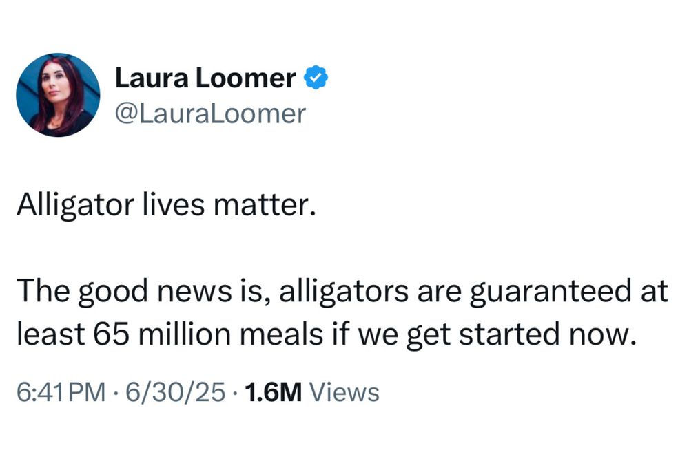 Screenshot of a tweet from Laura Loomer (@LauraLoomer). Her profile picture shows a woman with long dark hair wearing a dark top, looking slightly to the side. The tweet reads: “Alligator lives matter. The good news is, alligators are guaranteed at least 65 million meals if we get started now.” Timestamp on the tweet is 6:41 PM · 6/30/25, with 1.6M views.