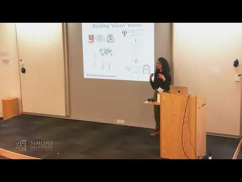 Interpreting LLMs to Interpret the Brain