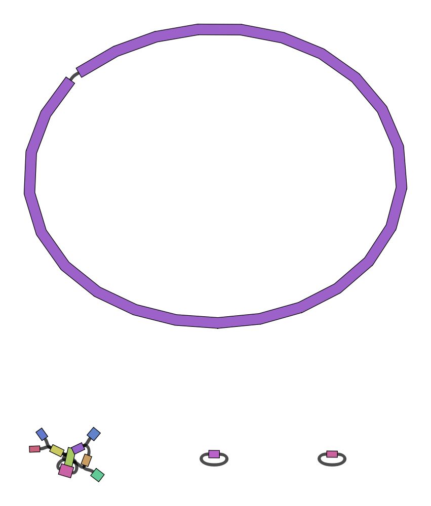 A bandage graph showing a large purple circle, which is likely representing the chromosomal sequence. Two circular objects below suggest closed plasmids. The jumbles lines and colorful rectangles in the lower left are the plasmid or plasmids that I think we can resolve further.