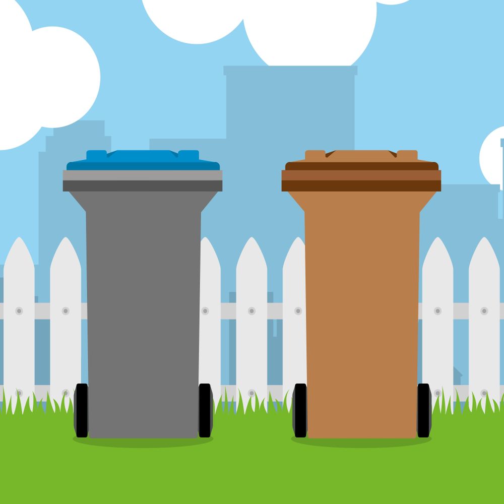 Graphic showing a mixed recycling wheelie bin alongside a brown wheelie bin