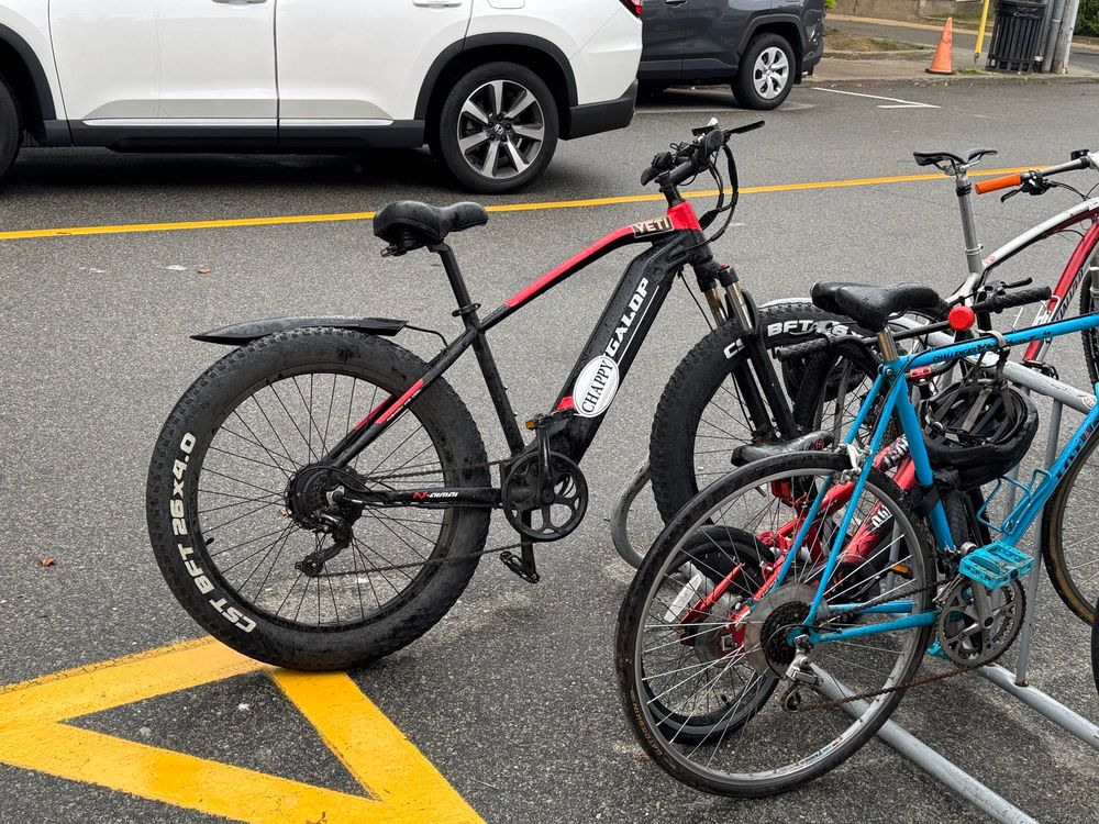 a photo of an electric bike with an oval sticker on it that says Chappy