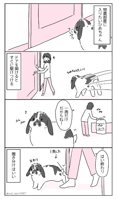 YOMcoma投稿画像