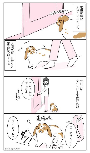 YOMcoma投稿画像