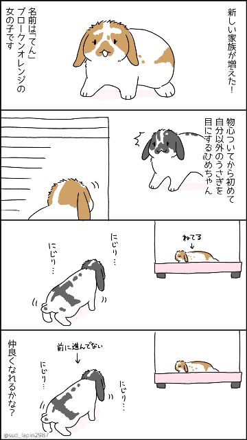 YOMcoma投稿画像