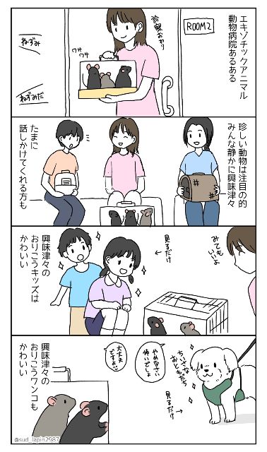 YOMcoma投稿画像
