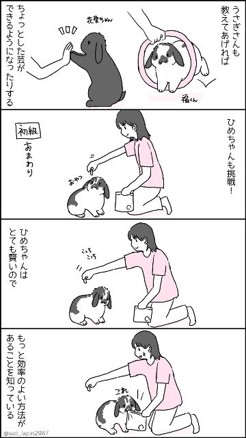 YOMcoma投稿画像