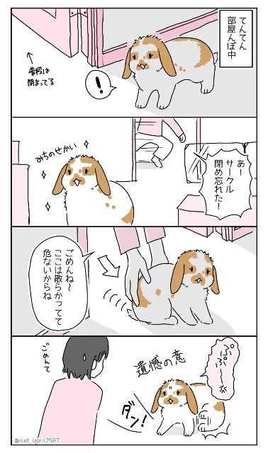 YOMcoma投稿画像
