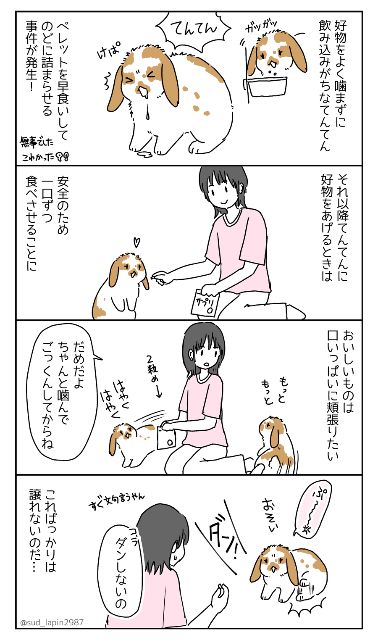 YOMcoma投稿画像