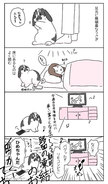 YOMcoma投稿画像