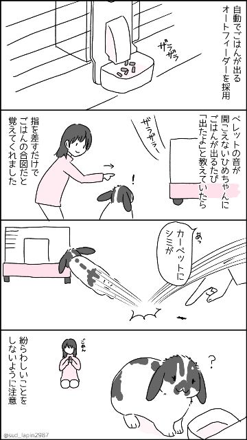 YOMcoma投稿画像