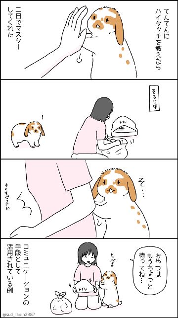 YOMcoma投稿画像