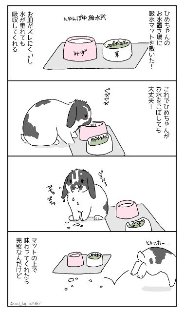 YOMcoma投稿画像
