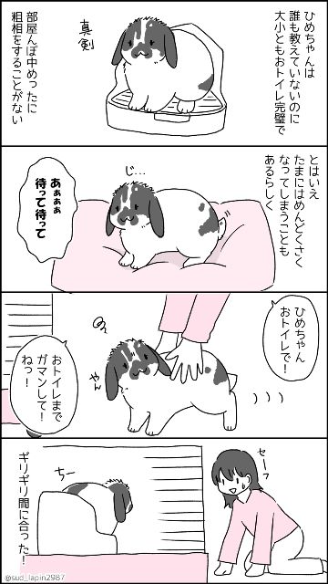 YOMcoma投稿画像