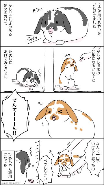 YOMcoma投稿画像