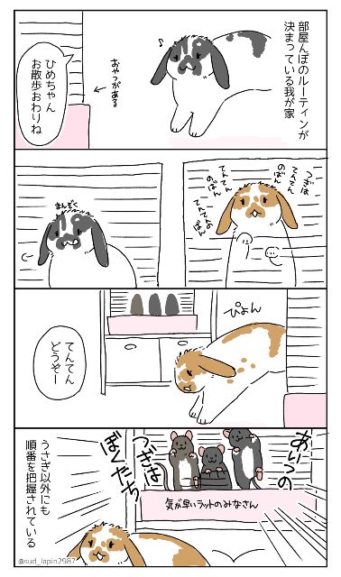 YOMcoma投稿画像