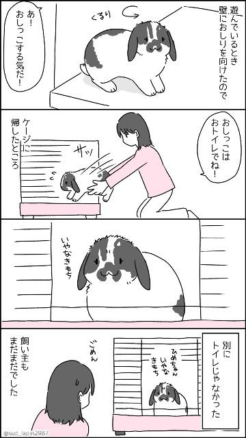 YOMcoma投稿画像
