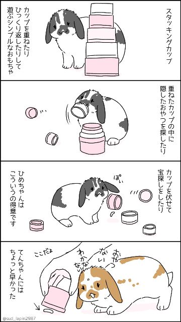 YOMcoma投稿画像