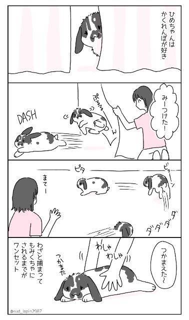 YOMcoma投稿画像