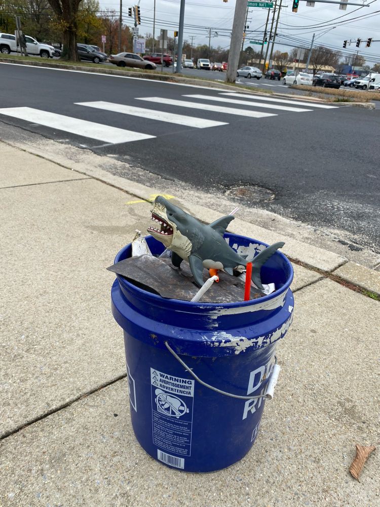 Sharkey’s second bucket for the day