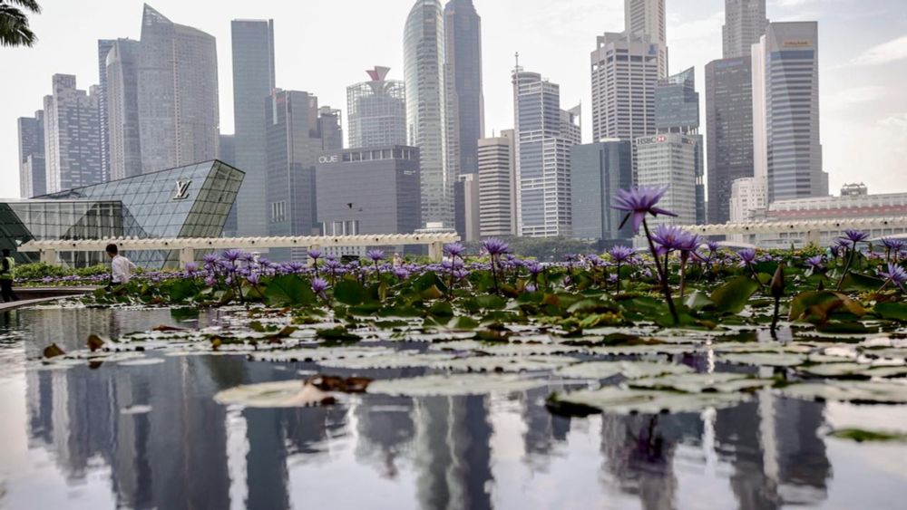 Singapur: Nachhaltige Stadtentwicklung durch mehr Begrünung