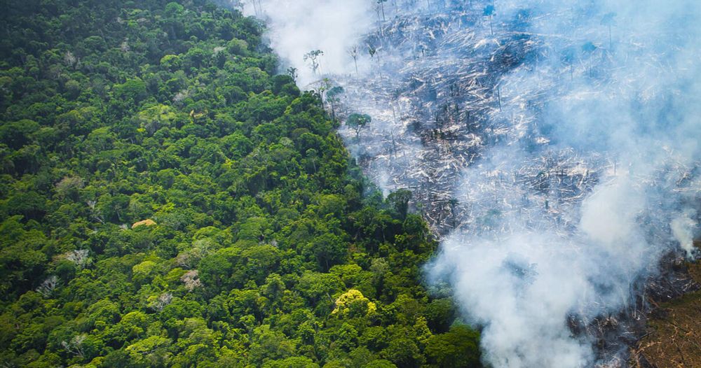 Bedrohungen des Amazonas: Vor dem Kollaps?