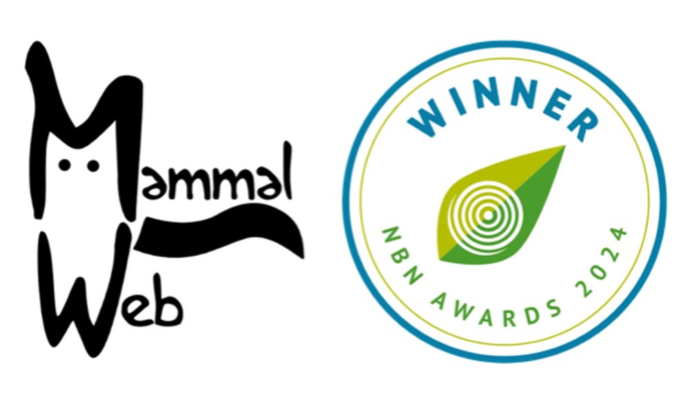 MammalWeb: winners of the 2024 NBN group award for wildlife recording