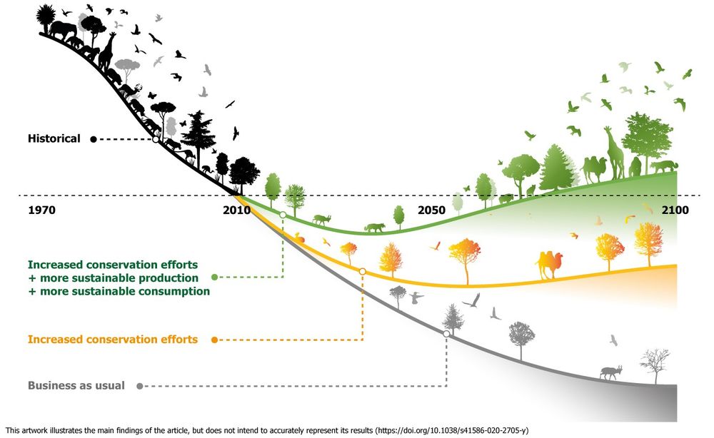 Biodiversity Net Gain, one form of nature market, is a key part of the UK's strategy for 'bending the curve' of biodiversity loss.  Image from https://www.geog.ox.ac.uk/news/2020/0911-bending-the-curve.html