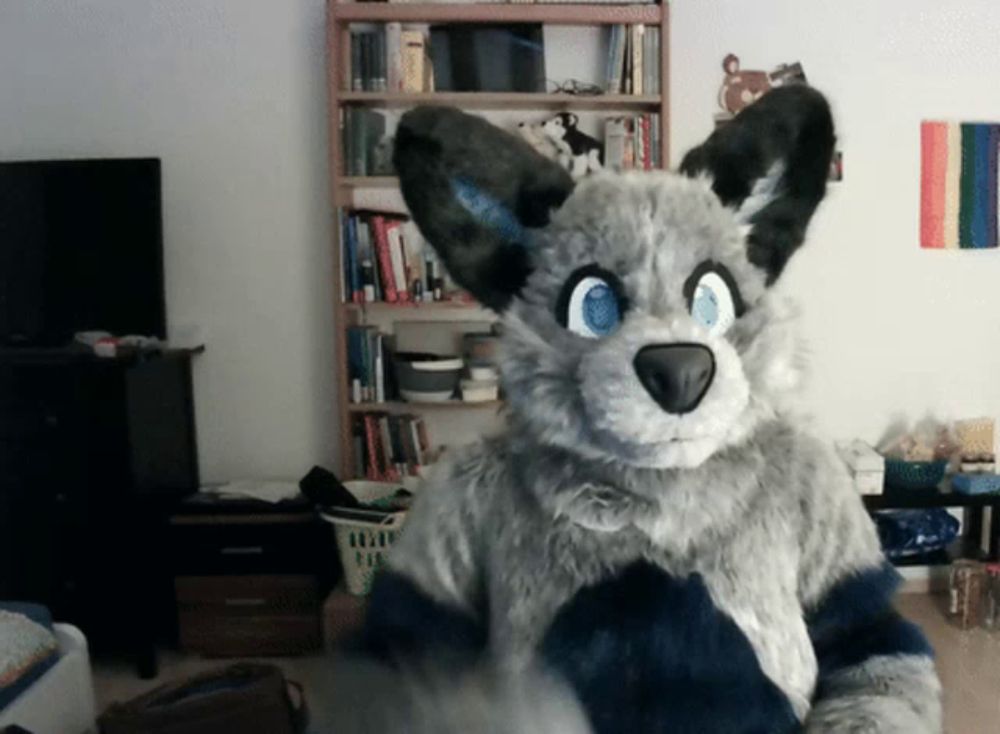 a furry animal with blue eyes is standing in a living room