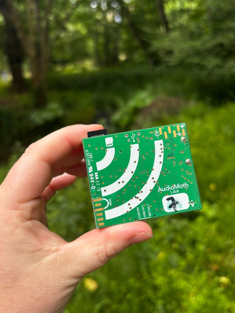 Hand holding an Audio Moth - this is a green device the size of a palm. It has various components including a USB port, side-mounted switch, LEDs etc 