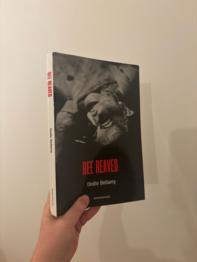 A hand holding Dodie Bellamy’s Bee Reaved. The book features a discomforting image of a person laying down - taken from just above their head. Is the person decomposing? The book is published by Semiotext(e) 