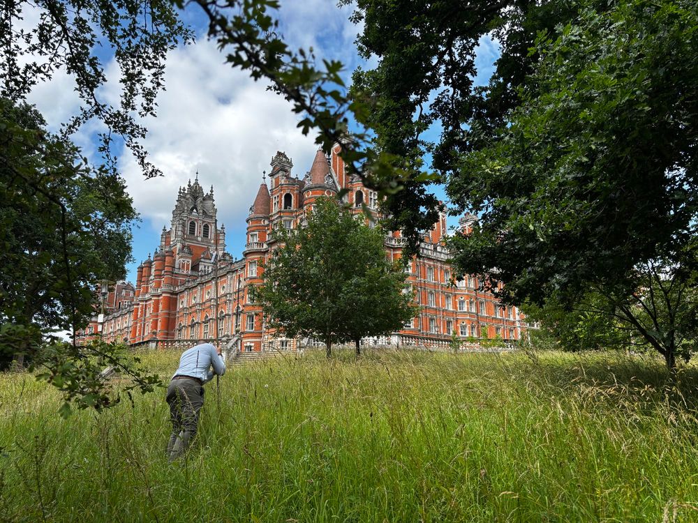 A bamboo pole being installed in the meadow grasses in front of Royal Holloway’s Founder’s Building 