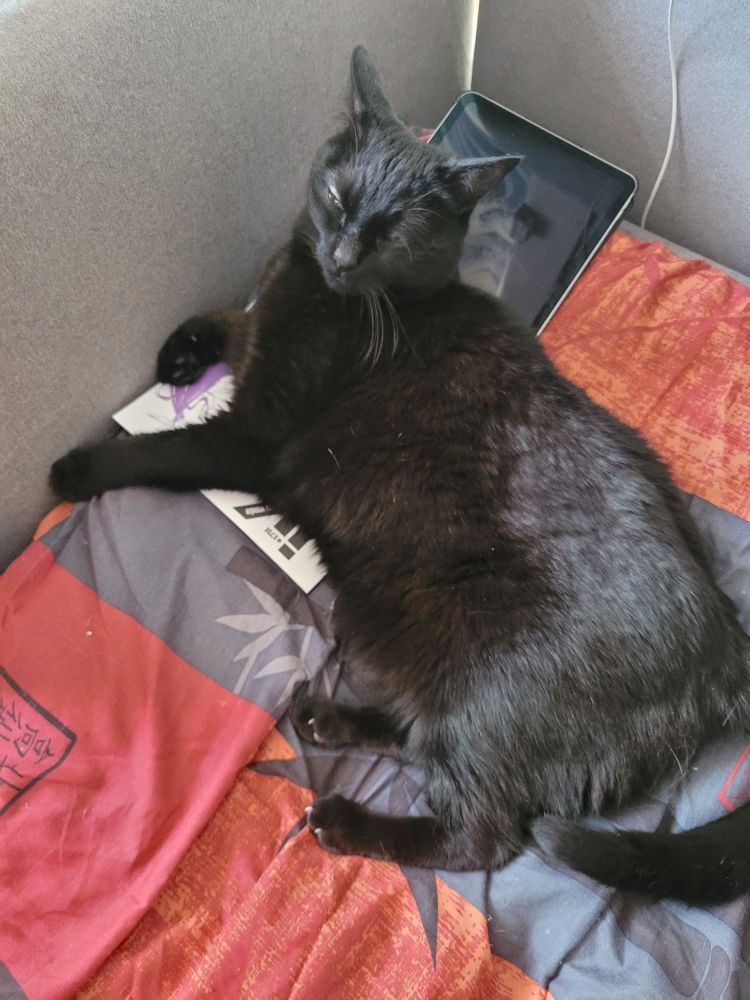 Un chat noir a pris possession de mon magazine Final Fantasy en s'allongeant dessus. Ce n'est pas pratique pour lire.