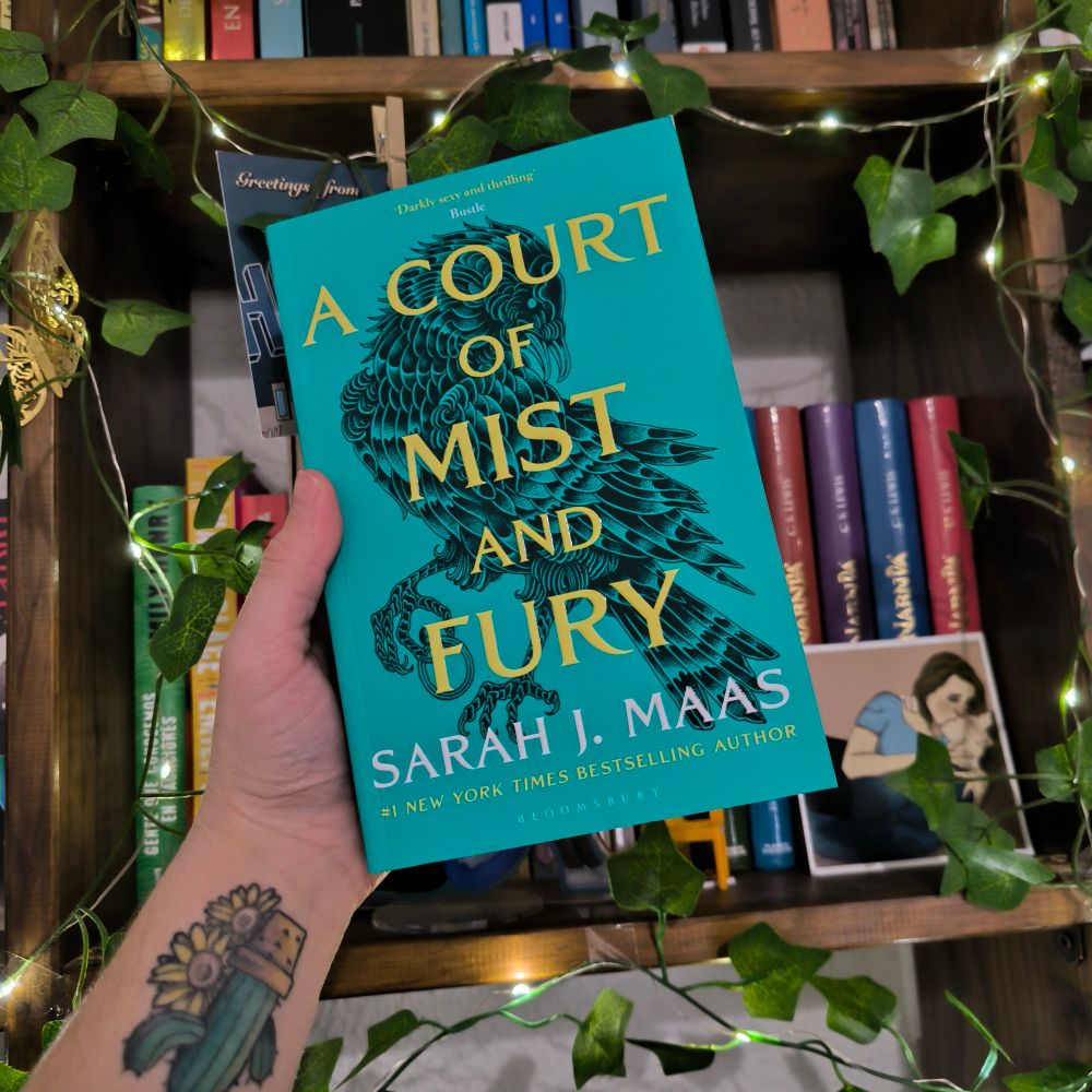 in the background there's a bookcase full of books and it has fairylights with green leaves

in the front there's a white hand holding a paperback edition of a court of mist and fury by Sarah J Maas. The background of the cover is blue and has a black bird in the middle. in the front it says in yellow "a court of mist and fury" and in white "sarah j maas" 