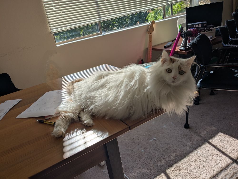 kato :3