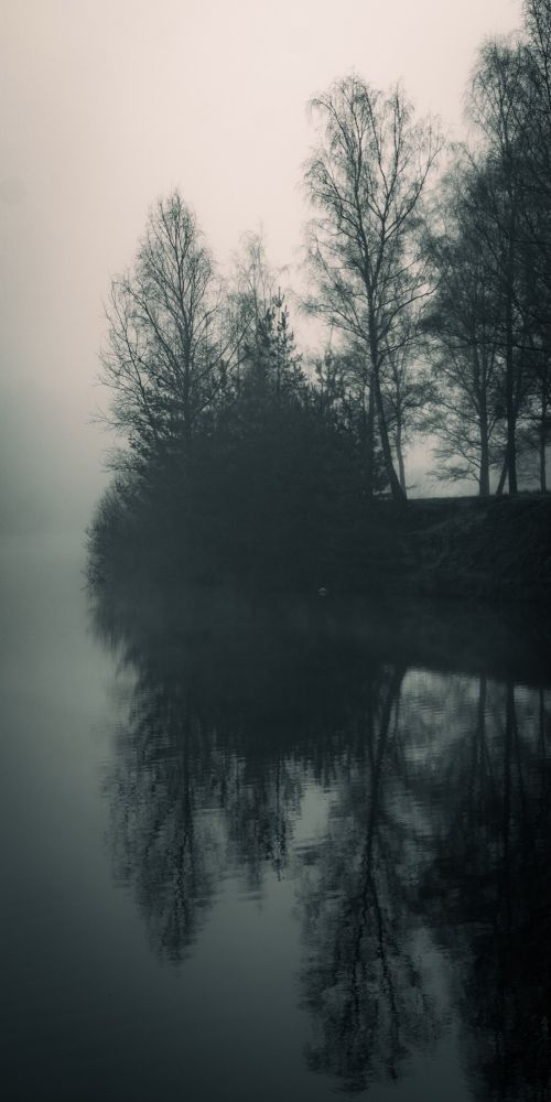 Ein Ufer als Spiegelung in einem See 