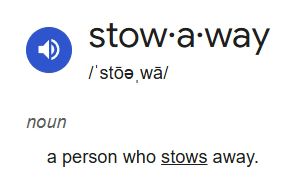 Stowaway, meaning: a person who stows away