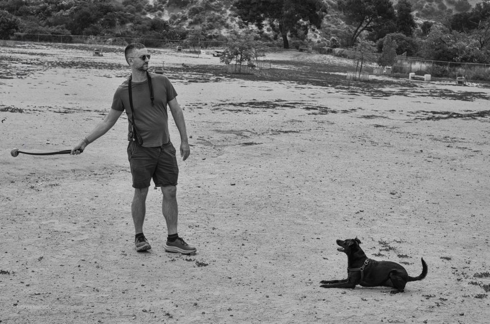 Dog named Mia waiting for Afonso to throw the ball for her to catch 