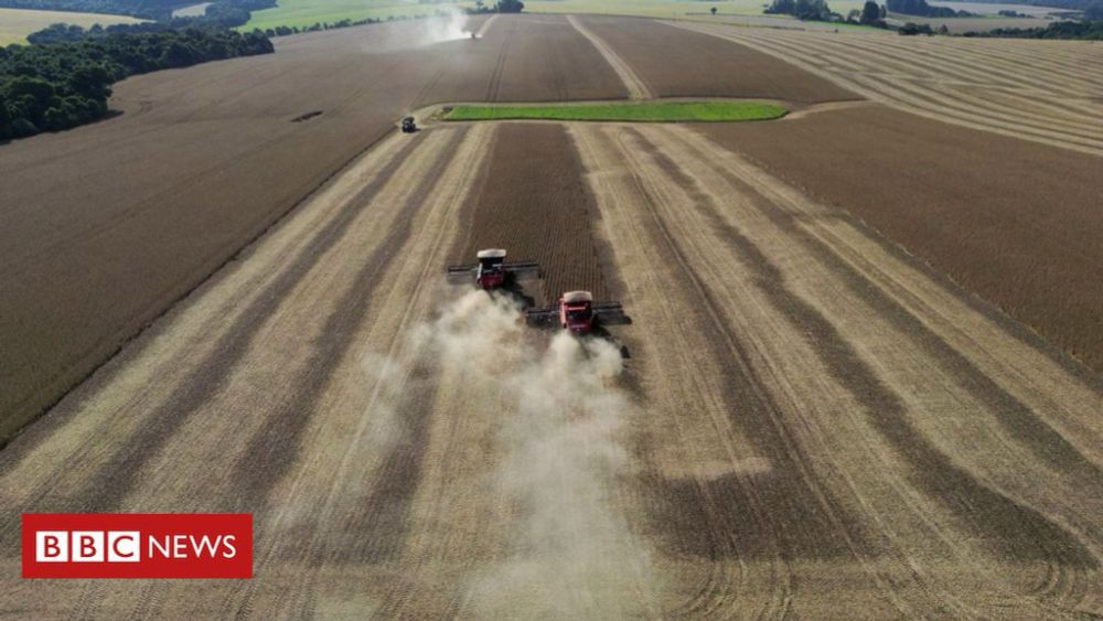 Inundações no Rio Grande do Sul: como troca de vegetação nativa por soja pode ter agravado enchentes - BBC News Brasil