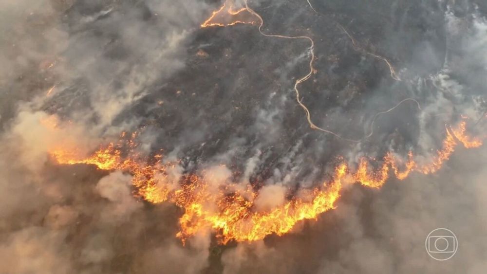 Crime ambiental: 52 inquéritos da PF investigam suspeita de incêndios criminosos