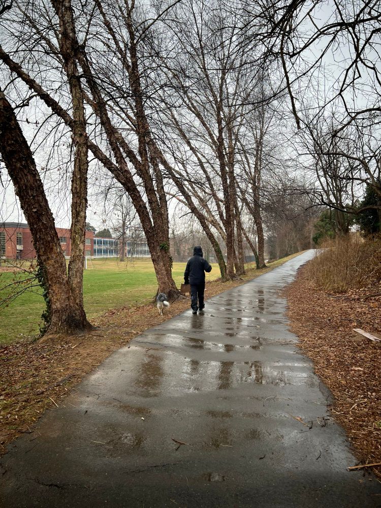 Man and a dog walking on a wet tree-lined bike path.  Brick building appears in the background.