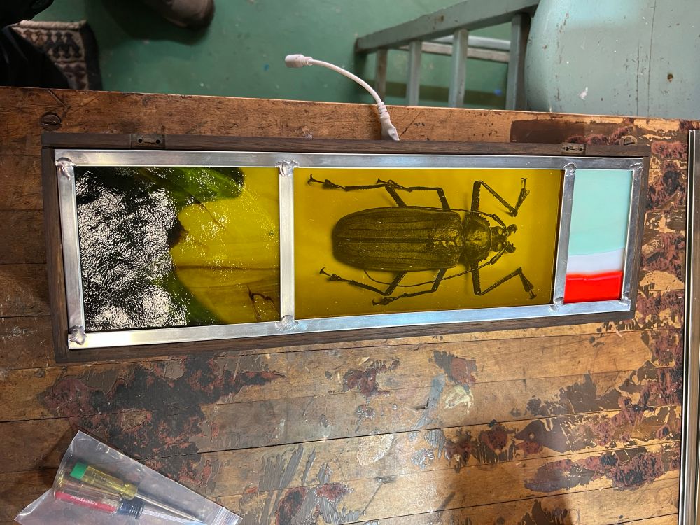 Glass panel of a bug without light.