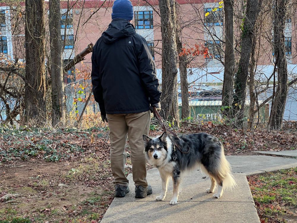 Man standing on a paved bike path with a black, tan and white dog. Brick building behind the trees in the background.