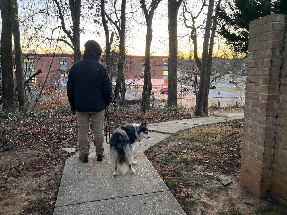Man with black, tan and white dog walking through the trees with school and sun rise in background.