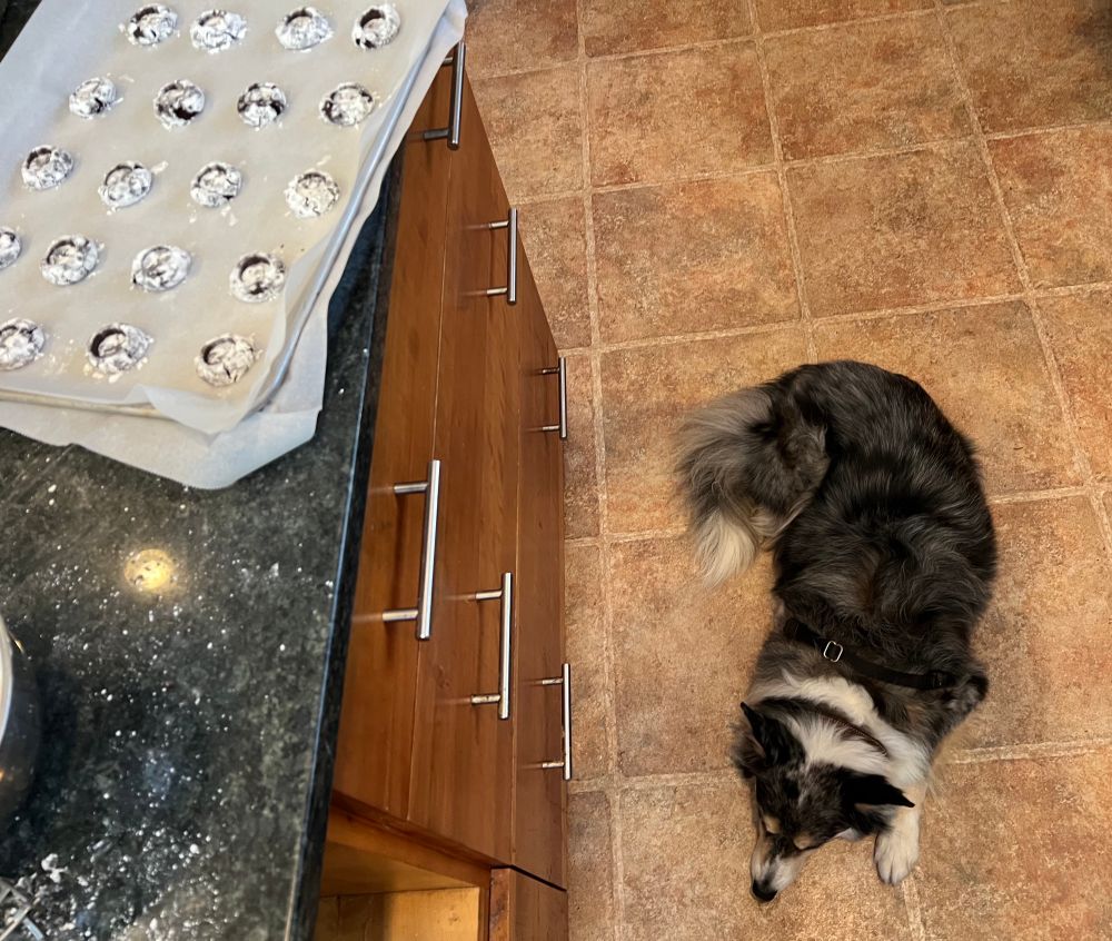 Sous chef always there to assist with anything as needed. She could not have chocolate cookie dough but gladly licked the paper from the butter, doing her part to help.