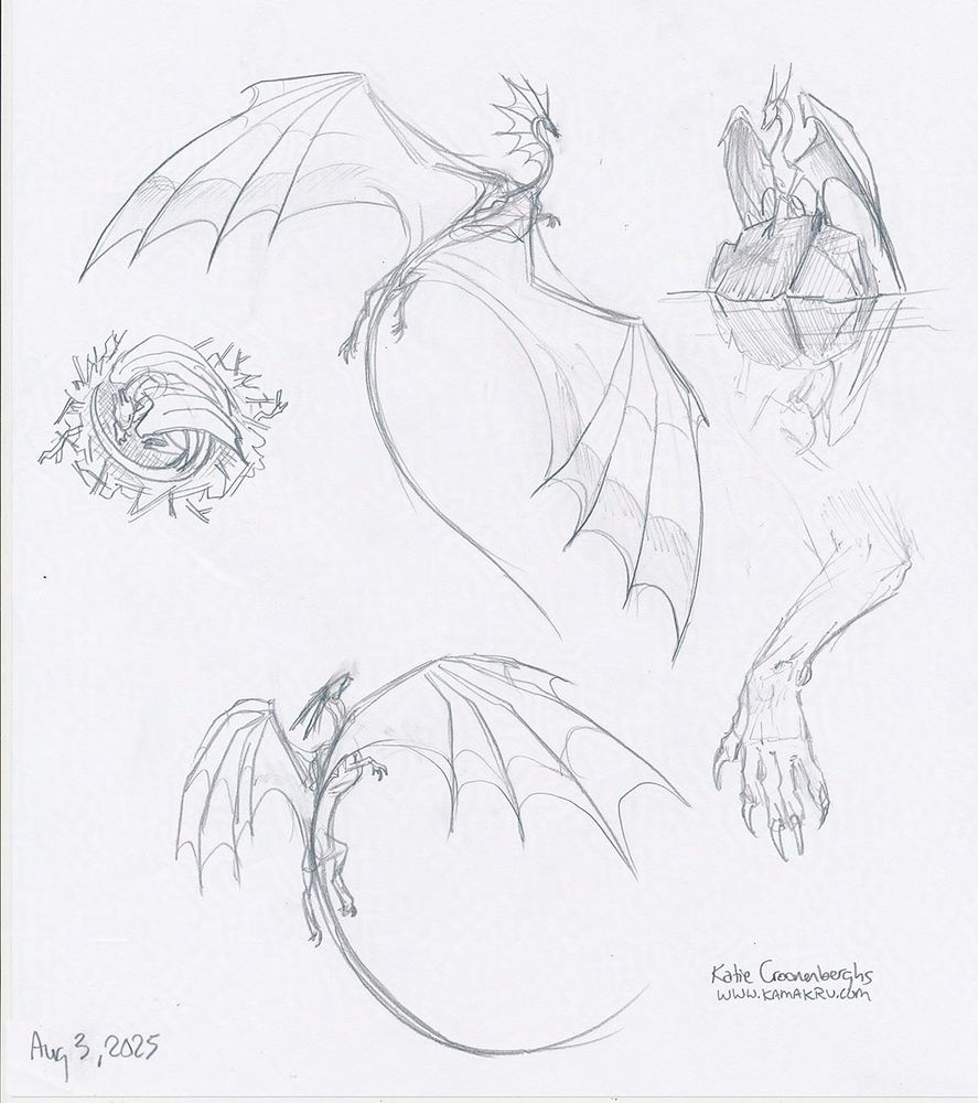 Pencil sketches of multiple dragons on a piece of white paper. A couple of flying dragons, a small dragon curled up in a nest, a small dragon perched on a rock with a reflection in the water below, and a dragon's forearm and claw. Writing in lower left says Aug 3, 2025, signed Katie Croonenberghs and website www.kamakru.com
